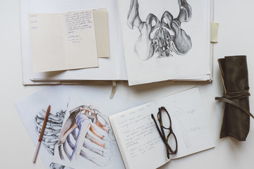 Associate Professors in Anatomy